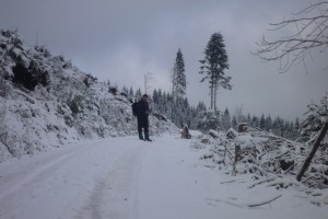 BAIERSBRONN 006