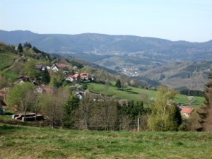 CIMG2315