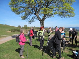IMG_0596 (2)