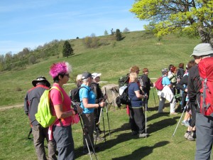 IMG_0600 (3)