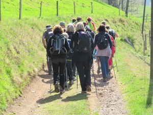 IMG_0603 (2)
