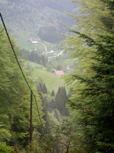 CIMG2442