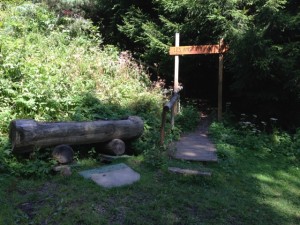 unnamed (4)
