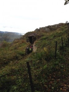 reconnaissance Hartmannswillerkopf 10