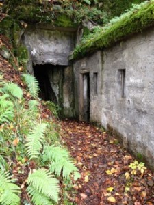 reconnaissance Hartmannswillerkopf 5