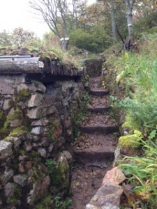 reconnaissance Hartmannswillerkopf 9