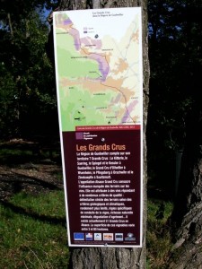 CIMG2793