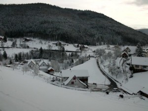 CIMG2948