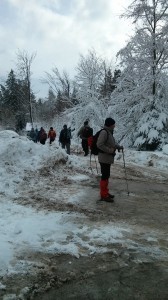 IMG_20150131_125228