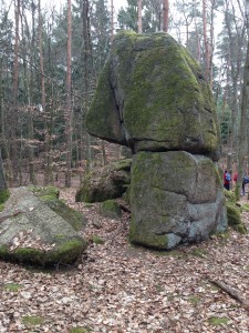 2015-03-21 12.49.50