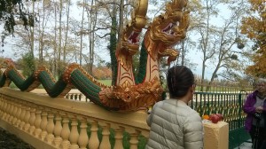 IMG_20151030_121851