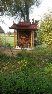 IMG_20151030_125429