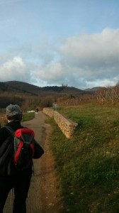 IMG_20151114_091014