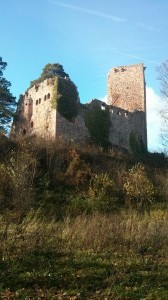 IMG_20151114_112334
