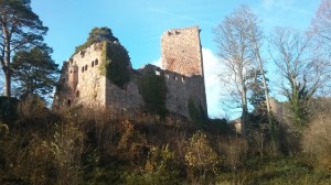 IMG_20151114_112339