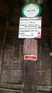 IMG_20151114_120050