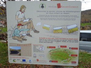 P1090070 (1)