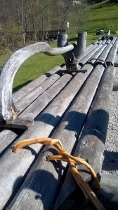 Photo1