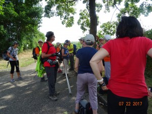 MARCHE NORDIQUE AUX ALENTOURS D'OBERNAI (11)