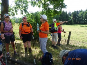 MARCHE NORDIQUE AUX ALENTOURS D'OBERNAI (12)