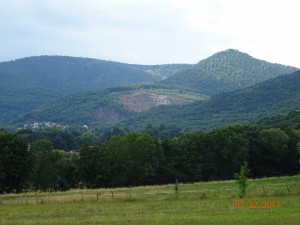 MARCHE NORDIQUE AUX ALENTOURS D'OBERNAI (18)