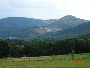 MARCHE NORDIQUE AUX ALENTOURS D'OBERNAI (18)