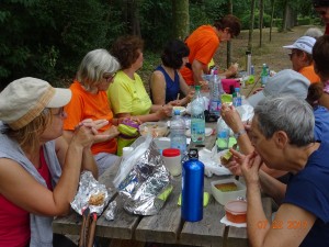 MARCHE NORDIQUE AUX ALENTOURS D'OBERNAI (22)