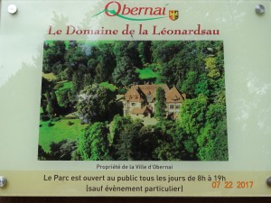 MARCHE NORDIQUE AUX ALENTOURS D'OBERNAI (25)