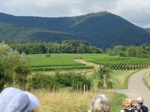 MARCHE NORDIQUE AUX ALENTOURS D'OBERNAI (8)