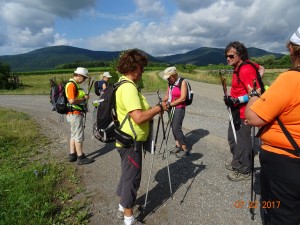 MARCHE NORDIQUE AUX ALENTOURS D'OBERNAI (9)