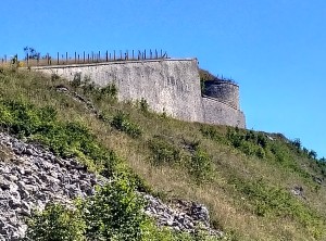 IMG_20220716_102448