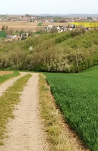 Gougenheim2