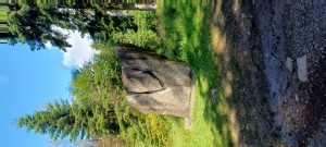20240520_103431 (2)