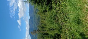 20240520_111331 (1)