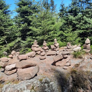 IMG-20240513-WA0015