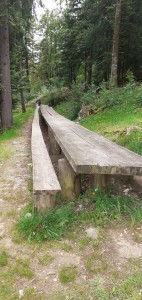 IMG-20240621-WA0026