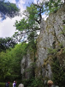IMG_20240607_095005
