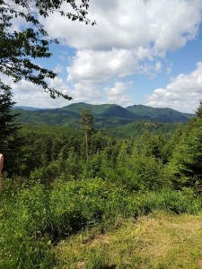 IMG_20240607_104905