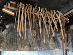 IMG_20240607_151546