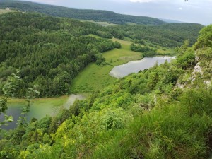 IMG_20240617_155025