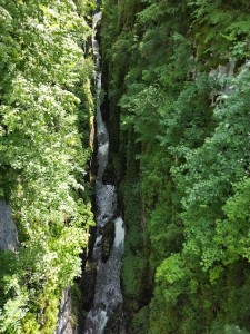 IMG_20240618_131425