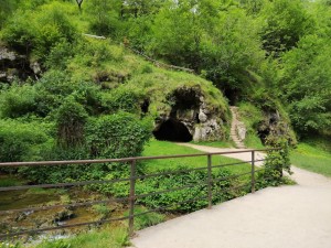 IMG_20240619_112956