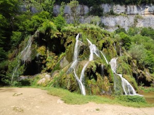 IMG_20240619_113148