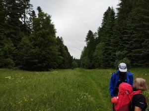 IMG_20240620_135129