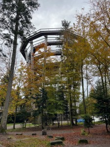 IMG-20241017-WA0026