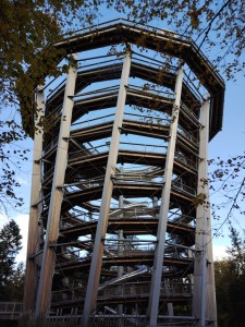 IMG_20241014_160047