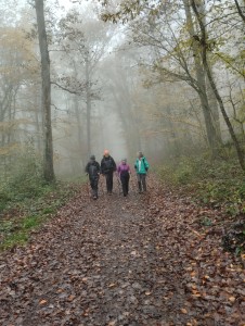 IMG-20241112-WA0029