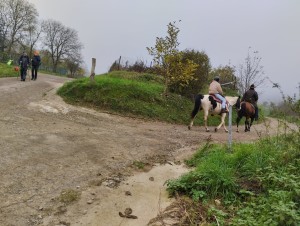 IMG-20241112-WA0030