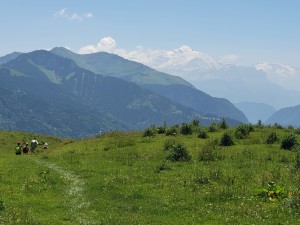 IMG-20250624-WA0022
