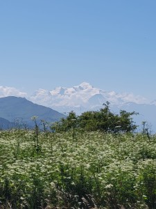 IMG-20250624-WA0032
